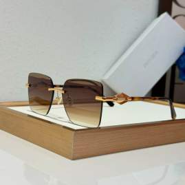 Picture of Jimmy Choo Sunglasses _SKUfw72721355fw